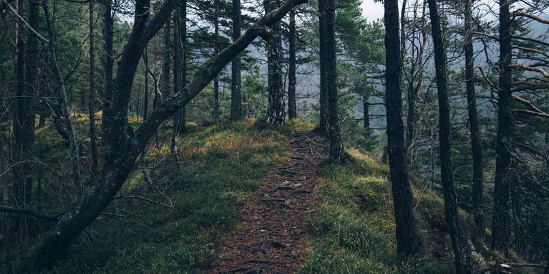 轨道交通地下变电站如何选型？金东电气环保气体绝缘环网柜的三大优势与选型指南